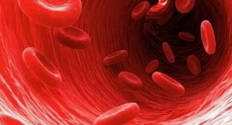 高密度脂蛋白太高好不好,高密度脂蛋白胆固醇太高会怎样