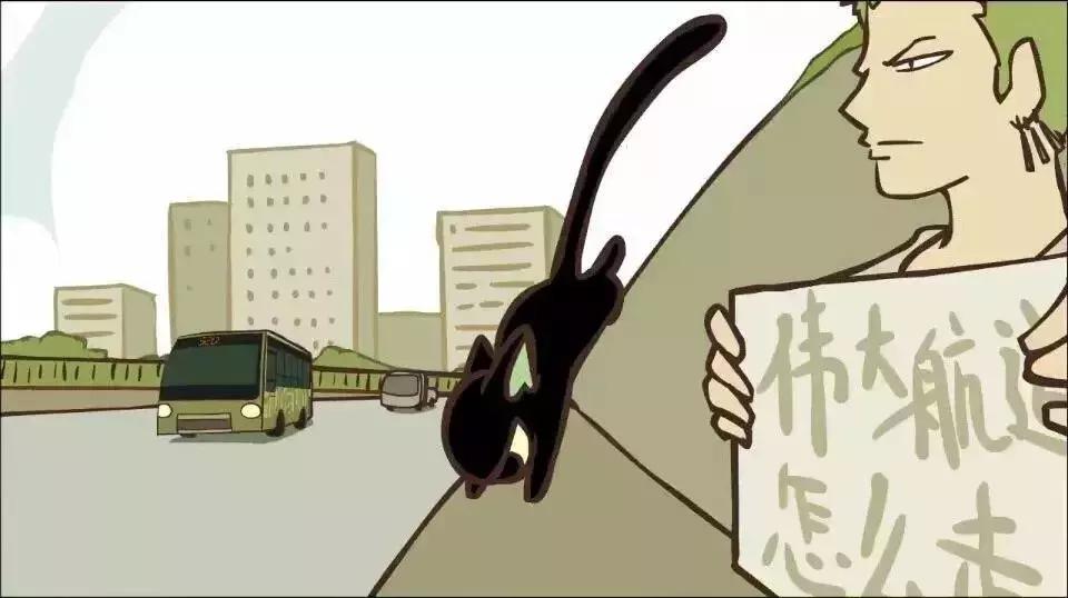 我竟然撸了9年的假猫？