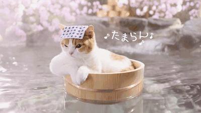 皖西秘境旅游攻略,皖西大峡谷自驾游