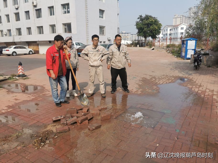 葫芦岛今日要闻,葫芦岛晚间新闻