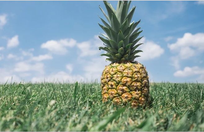 小孩脾胃不好咳嗽能吃什么水果,春天适合宝宝吃的水果有哪些