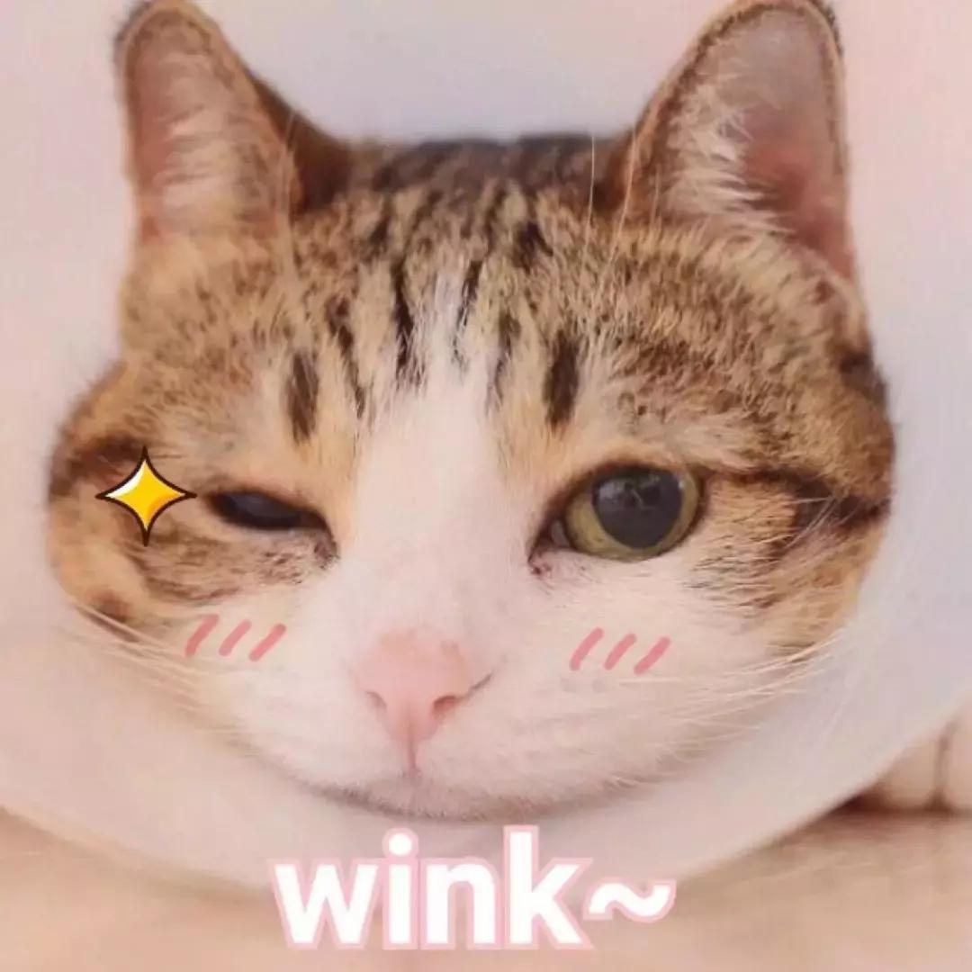 女生包里一定要装什么,女人包里应装些什么