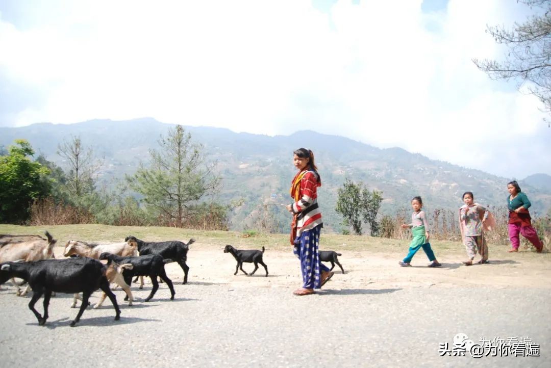 蠢蠢欲动去远行,休学旅行的真实感受