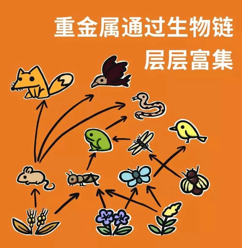 钦州动物园有何野生动物,哪些动物属于野味