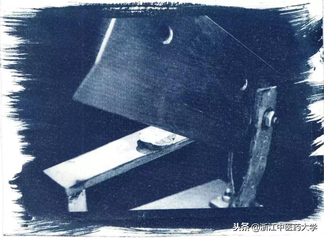 用镜头诉说中医药之美