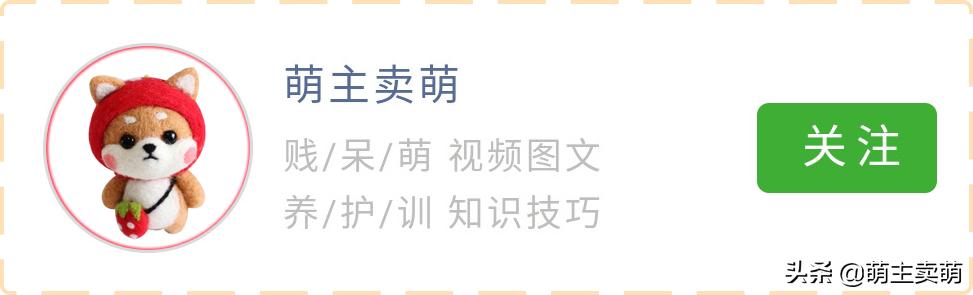 金毛咬主人怎么训,金毛老是咬主人的手怎么纠正