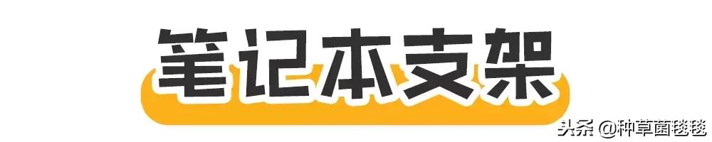 女人办公室必备物品,女生办公必备物品