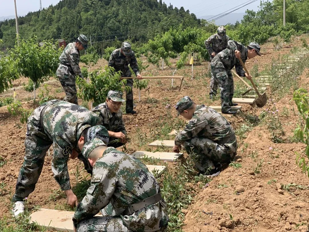 基层民兵武装部实力,基层武装部规范化建设汇报