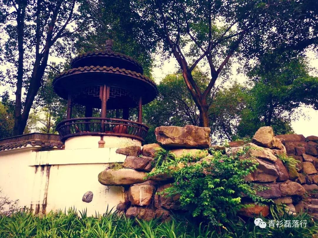 月满易园兰舟、秋莲华西钟楼：诗意生活就在身边，何须远走？