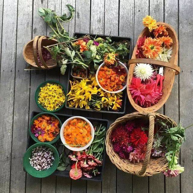 大自然美妙无比又生机勃勃的植物,植物染色的东西