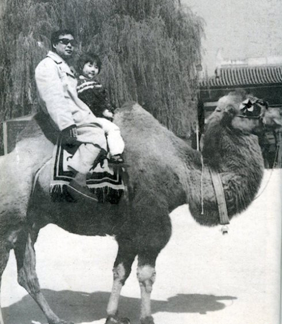 路遥之女路茗茗,路遥之女路茗茗抖音