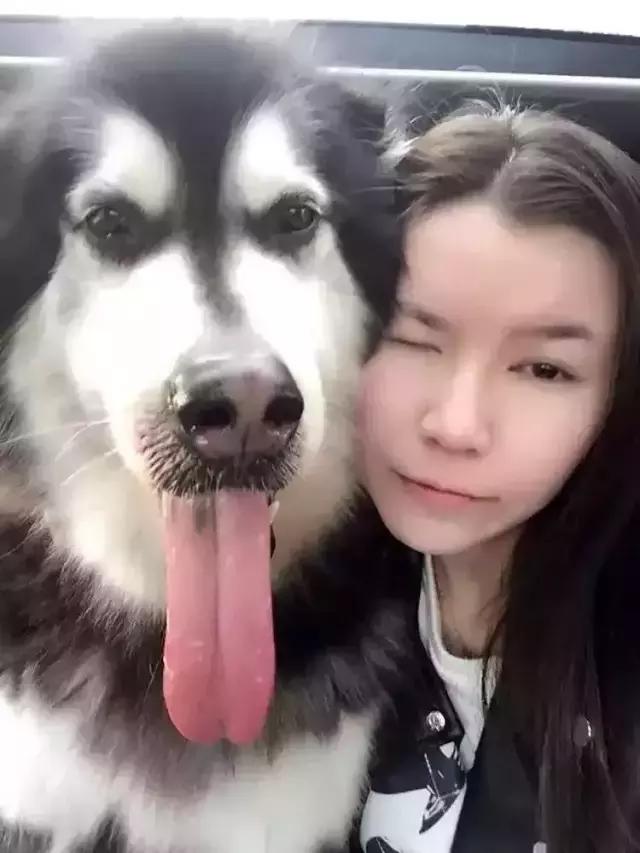 分手后养的宠物怎么处理,两个人分手一起养的宠物怎么办