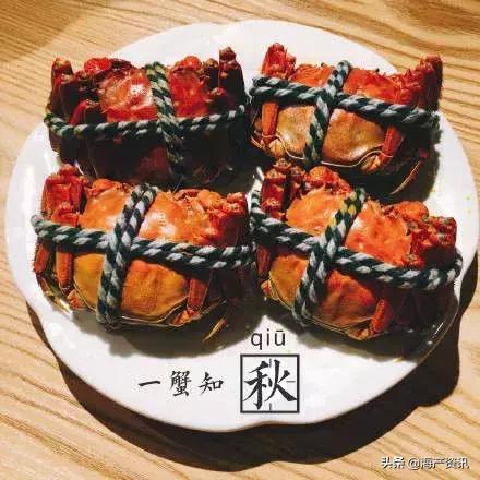 大闸蟹怎么吃才是最正确的,大闸蟹的正确吃法你知道吗