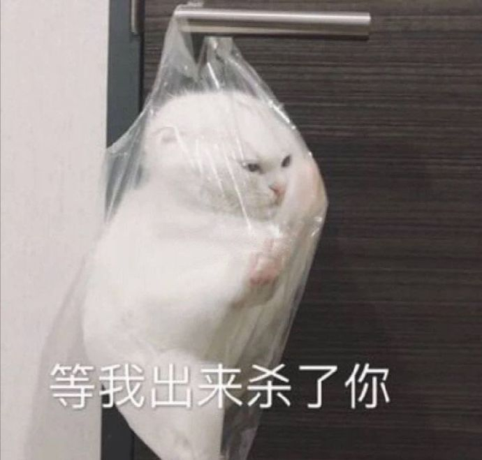 常见表情包图片大全集,表情包图片大全你还等什么