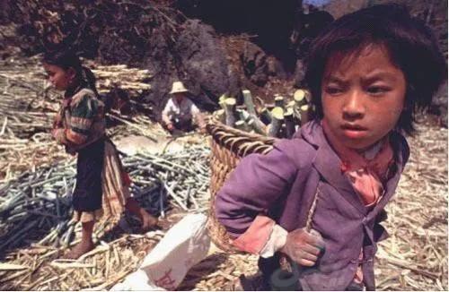 你家的锅安全吗,你家的安全座椅真的安全吗