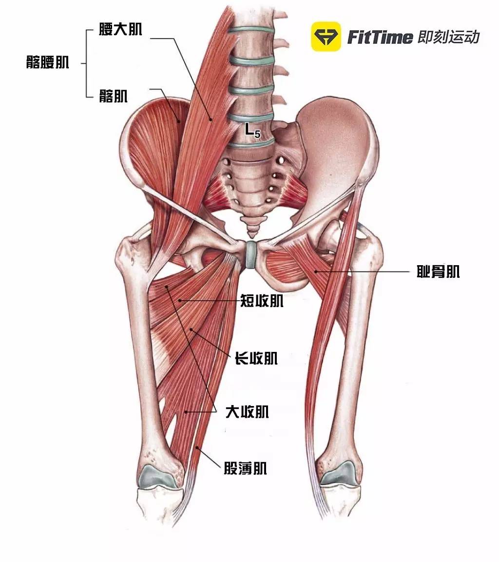 力线平衡术针灸,原始点治疗强直性脊柱炎案例