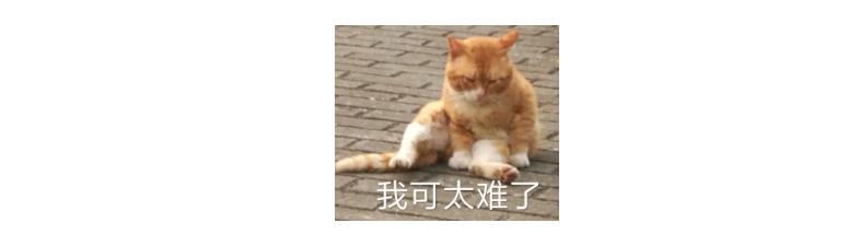岳阳林纸股票涨幅是多少,岳阳林纸股票未来一周走势预测