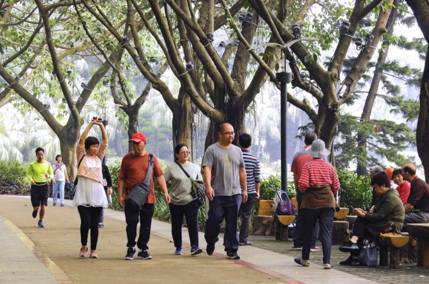 成年人锻炼关注力是否有效,运动可以改变关注力缺陷吗