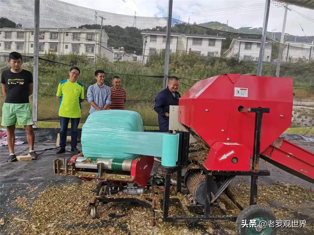 秸秆变废为宝促增收,我为群众办实事捡垃圾美篇