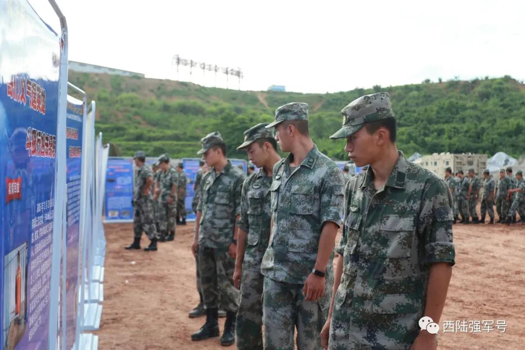 西南猎豹豹头,西南猎豹高原