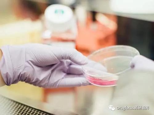 「一周药闻」Tenapanor治疗CKD患者高磷血症达III期临床起点