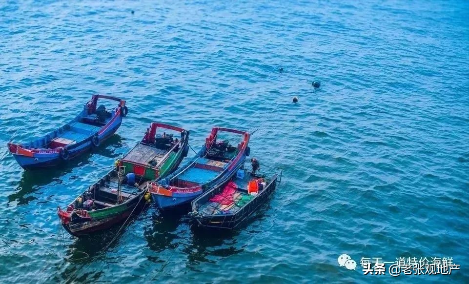 渔民说出海鲜内幕,直播海鲜市场买海鲜骗局曝光