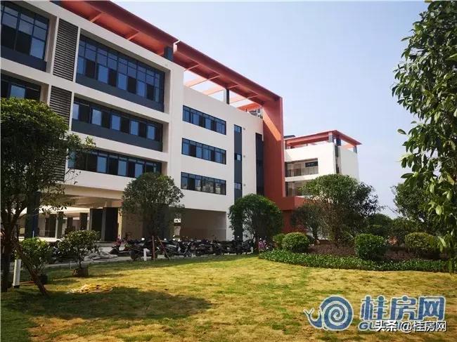 临桂市区风景校园,临桂小学环境