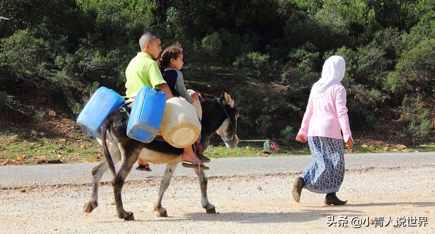 突尼斯是个什么样的国家,欧洲人眼中的突尼斯