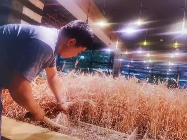 马蜂窝退单赔付,马蜂窝赔偿案例