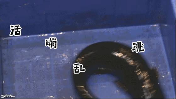 香Skr人！这家店排了两个小时？饭饭送你免排队黑卡内含¥？68