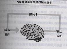 阅读错觉,书评过程比结果更重要