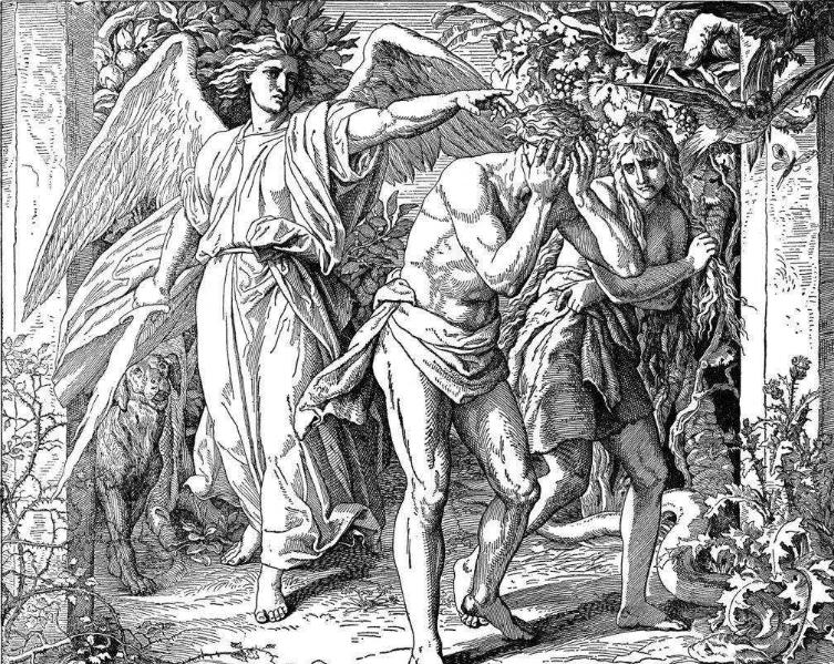 人都是女人生的，在人类出现之前，第一个女人是哪里来的？