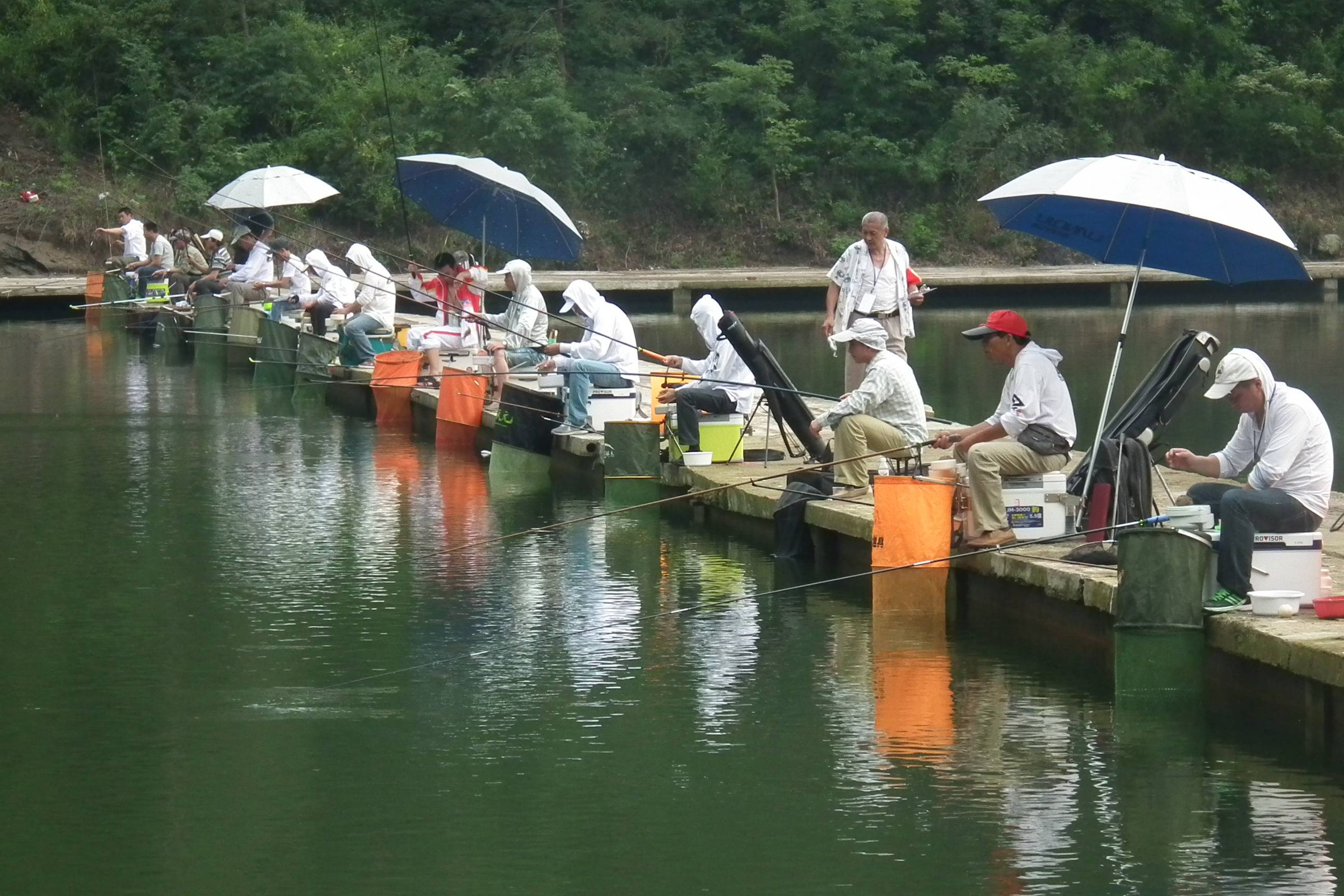 钓滑口鲤鱼怎么越钓越少,钓滑口鱼调高钓低还是调低钓高