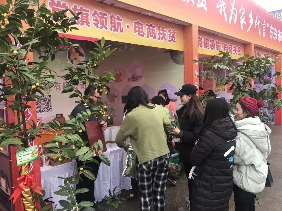 党旗领航电商扶贫活动,助力乡村振兴我为农产品代言