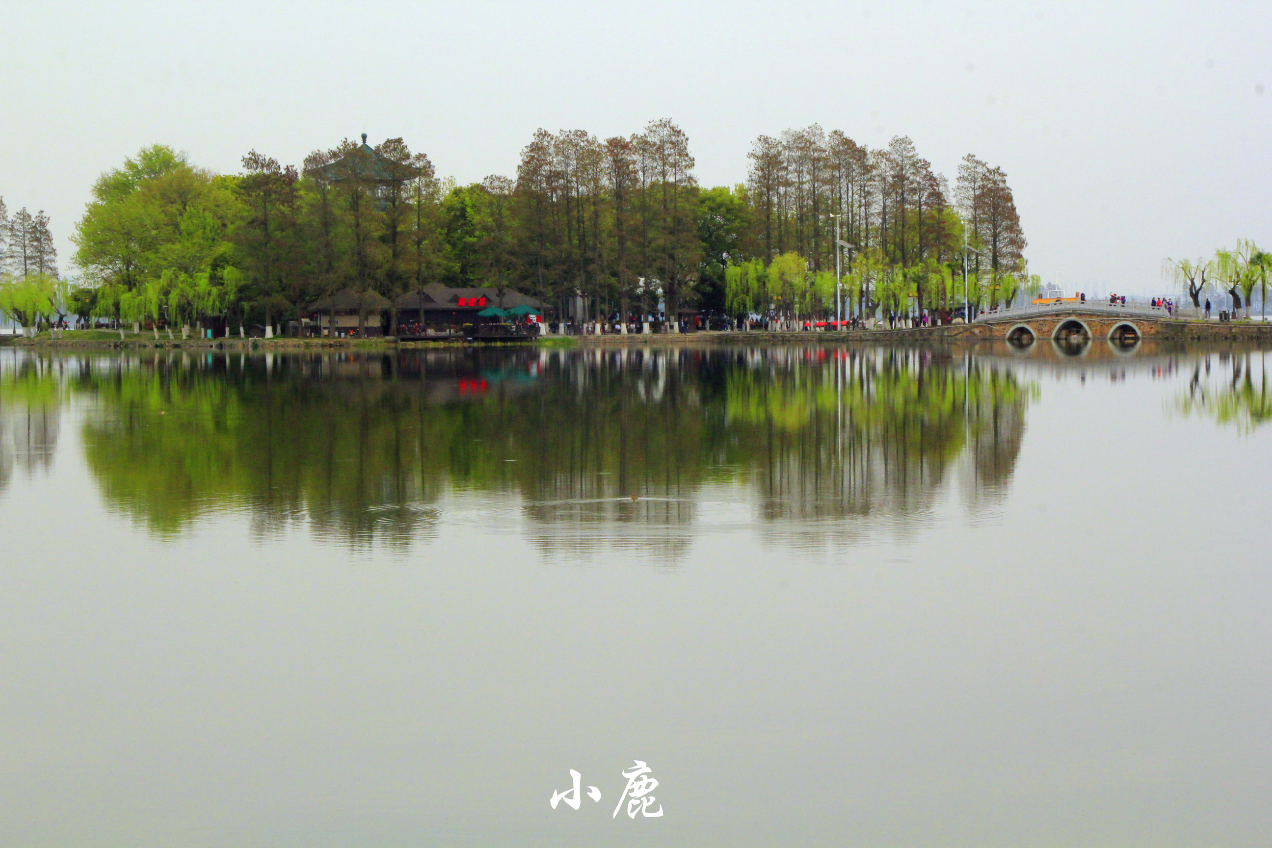武汉周边赏花踏青好去处,武汉赏樱花旅游攻略
