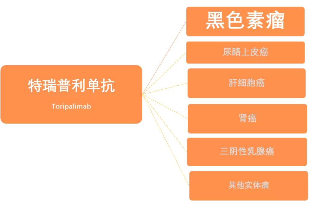 国产“广谱”抗癌药进入医保！PD-1到底能治什么病？