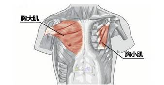 力线平衡术针灸,原始点治疗强直性脊柱炎案例