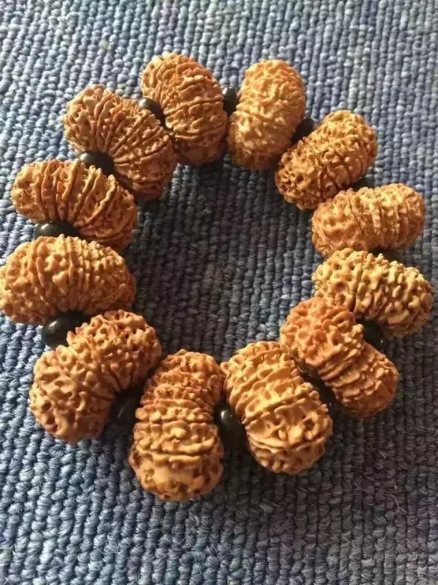 什么是金刚菩提鹰爪纹路,小金刚菩提子纹路图解大全