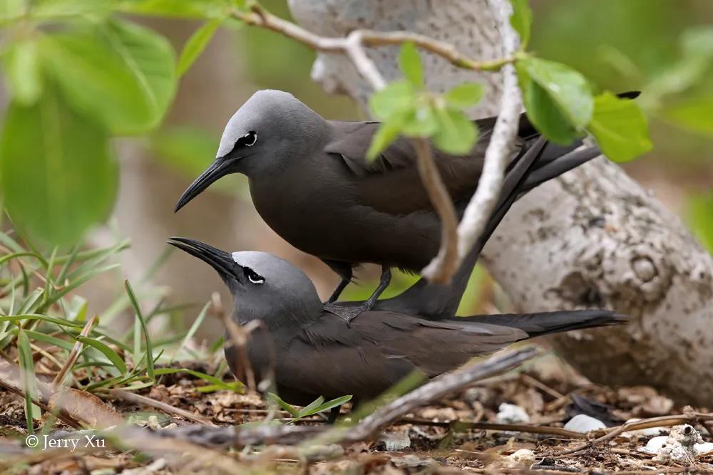 情人节，就该和爱的人*爱做**做的事