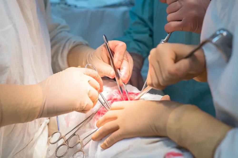 拆弹专家拆除炸弹的片段,拆弹专家炸血管后续