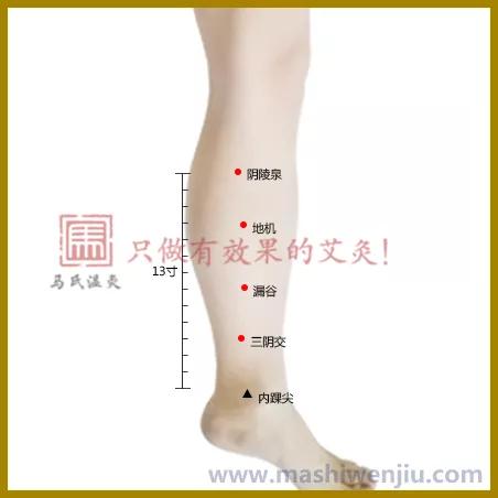 白带多艾灸哪个穴位有效,白带多用艾灸需要灸哪里