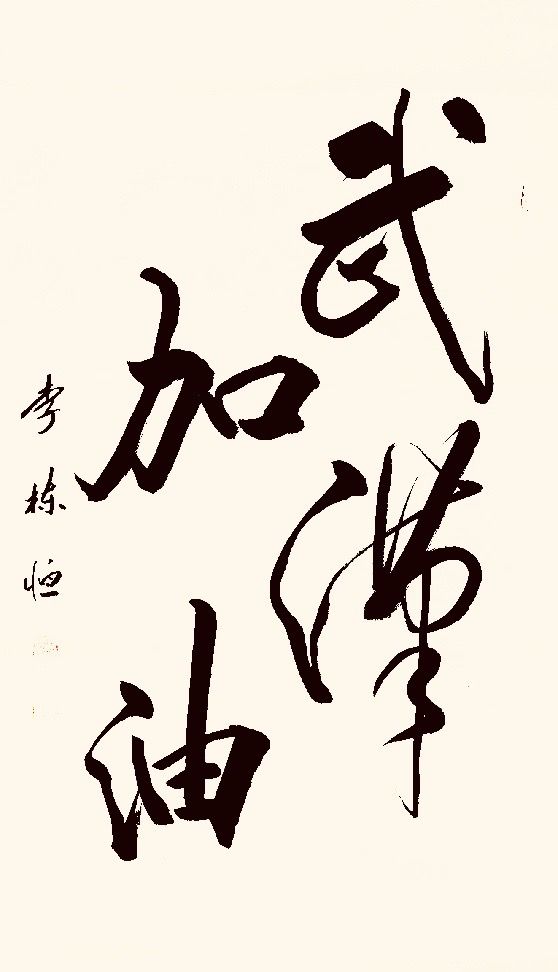 37位名家长江书法展,书法楷书武汉加油中国加油