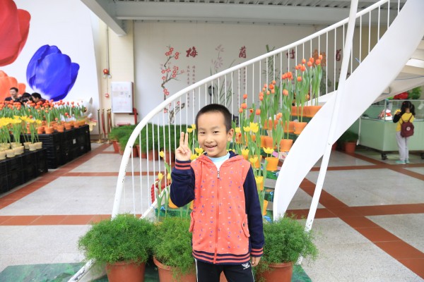 周末游樱花博览园,公园亲子游攻略享受假日时光