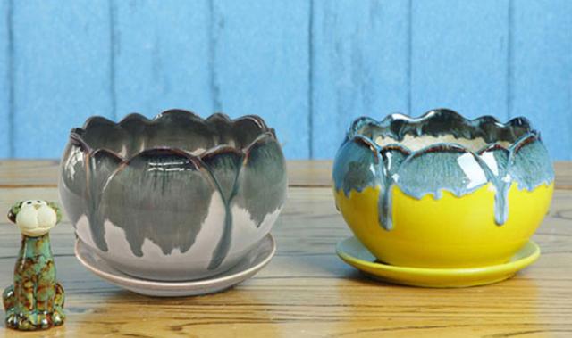 微景观绿植小花盆,各种小花盆有创意的