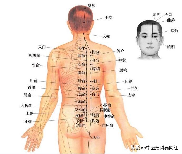 痛则不通最全经络图,痛则不通怎样才能通则不痛