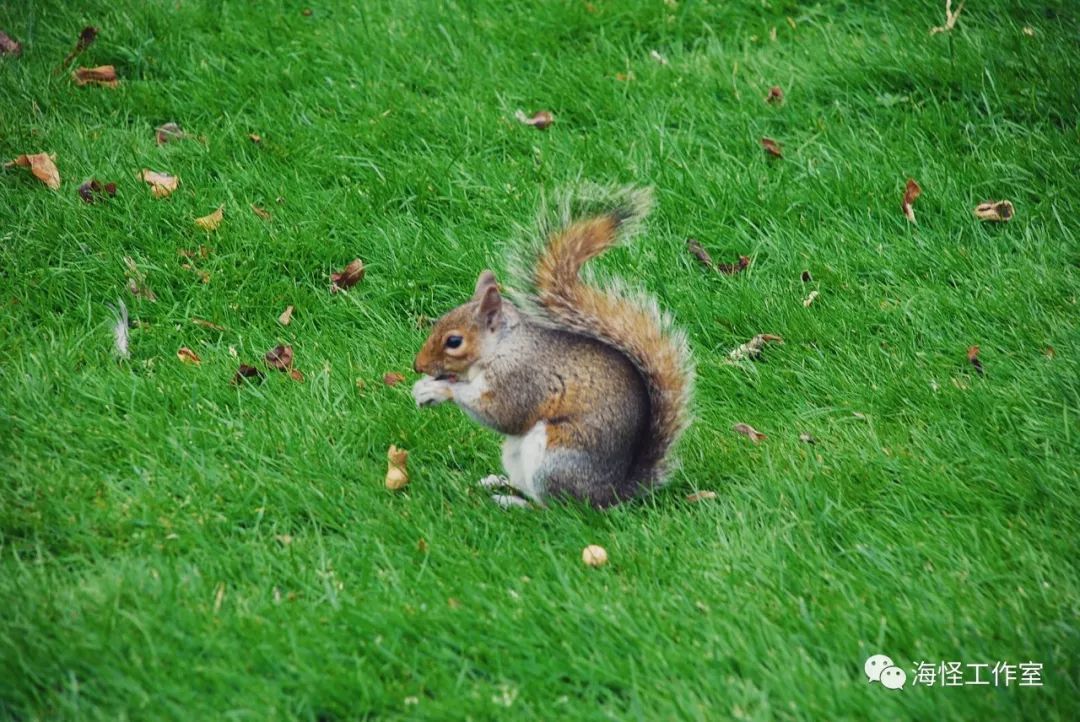 在法国留学的中国学生,在中国生活8年的法国小哥回国后