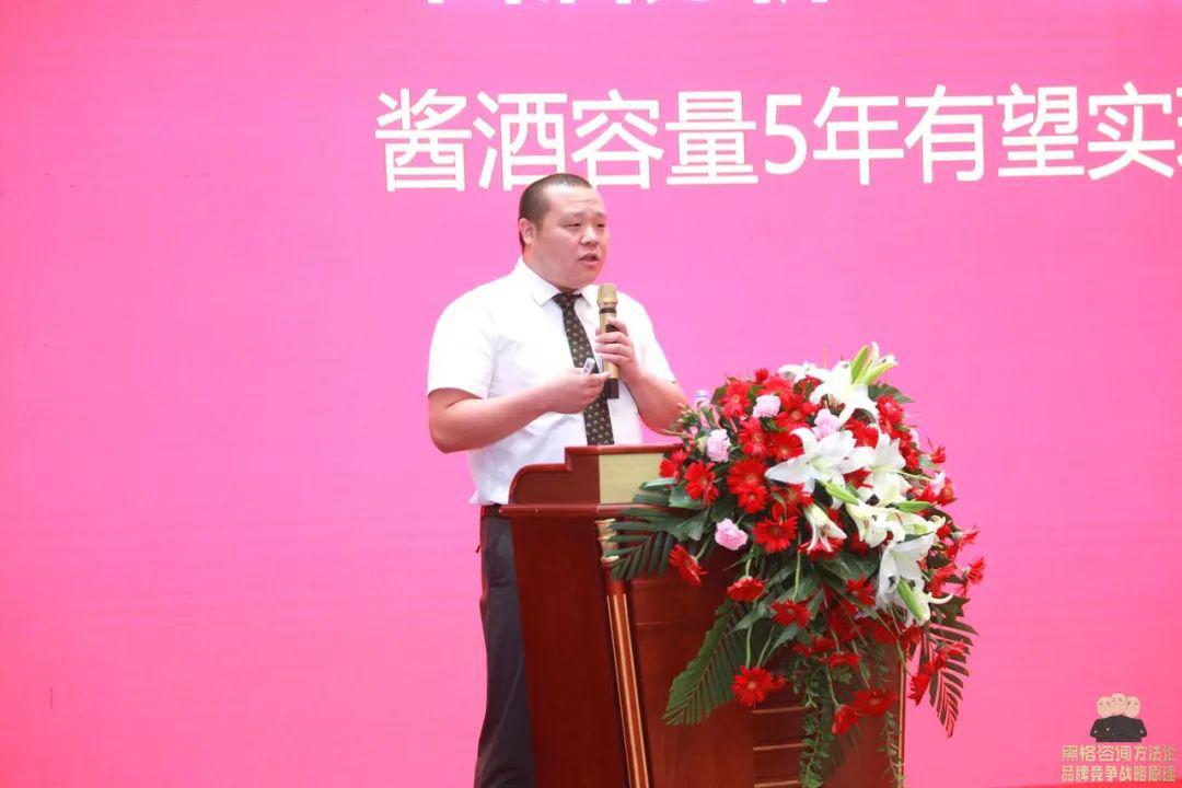 黑格咨询成功案例,黑格咨询中天