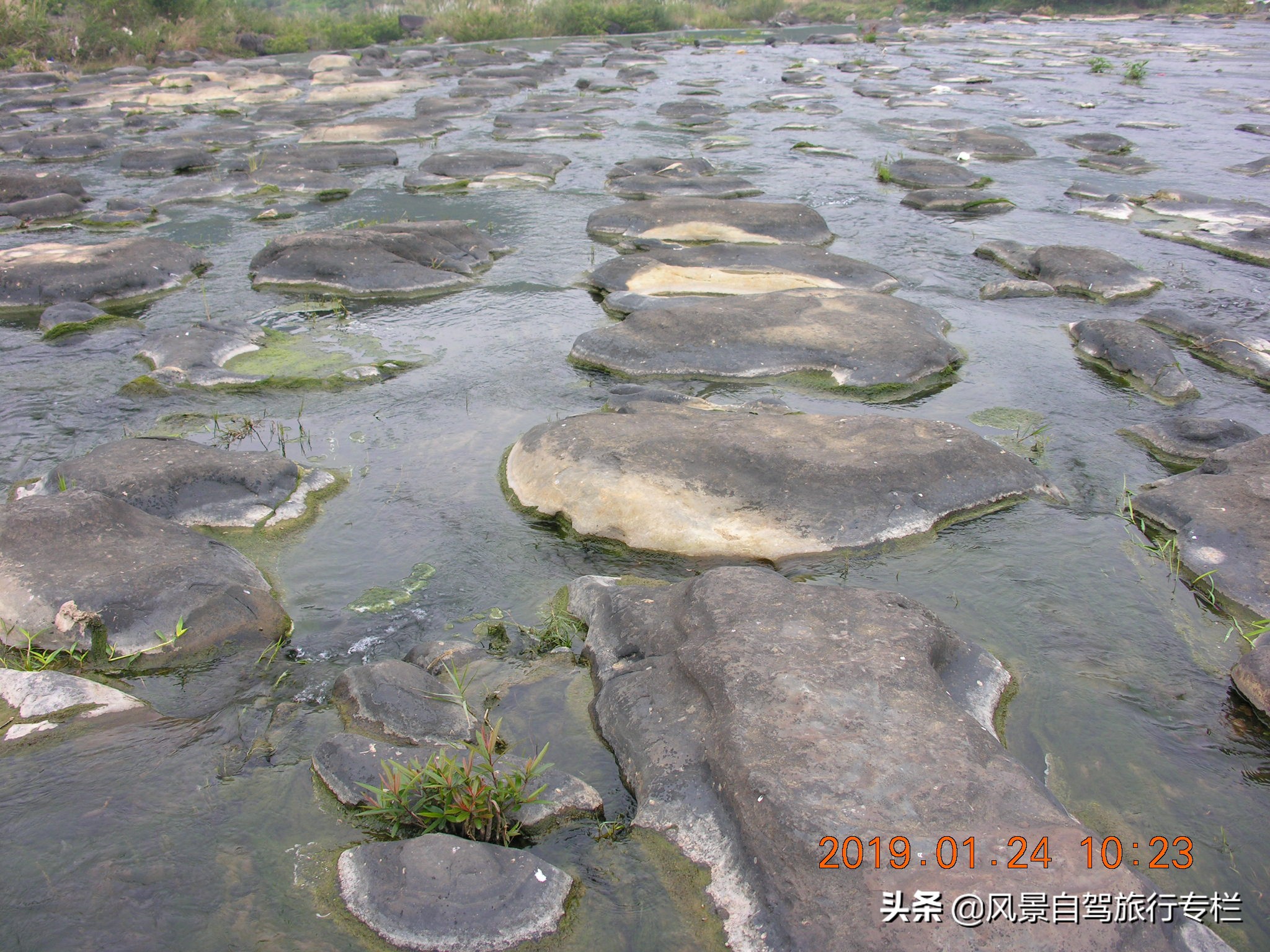 田东棋盘滩景区路好走吗,田东县那拔镇福星村棋盘滩