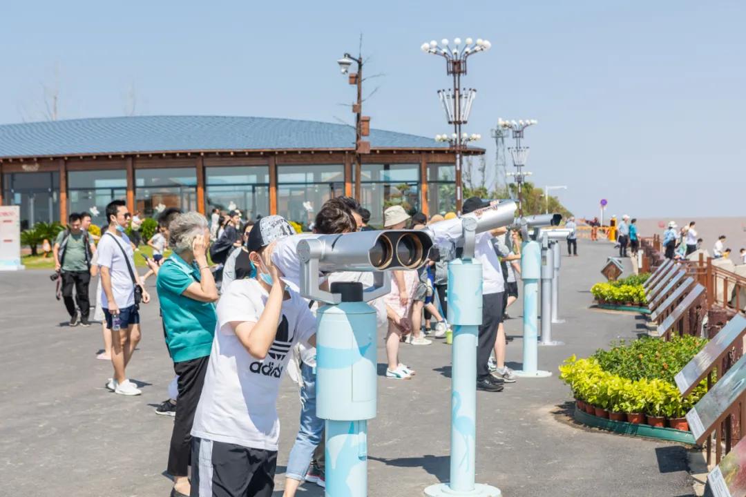 自带饭勺的鸟,自带勺子的小鸟