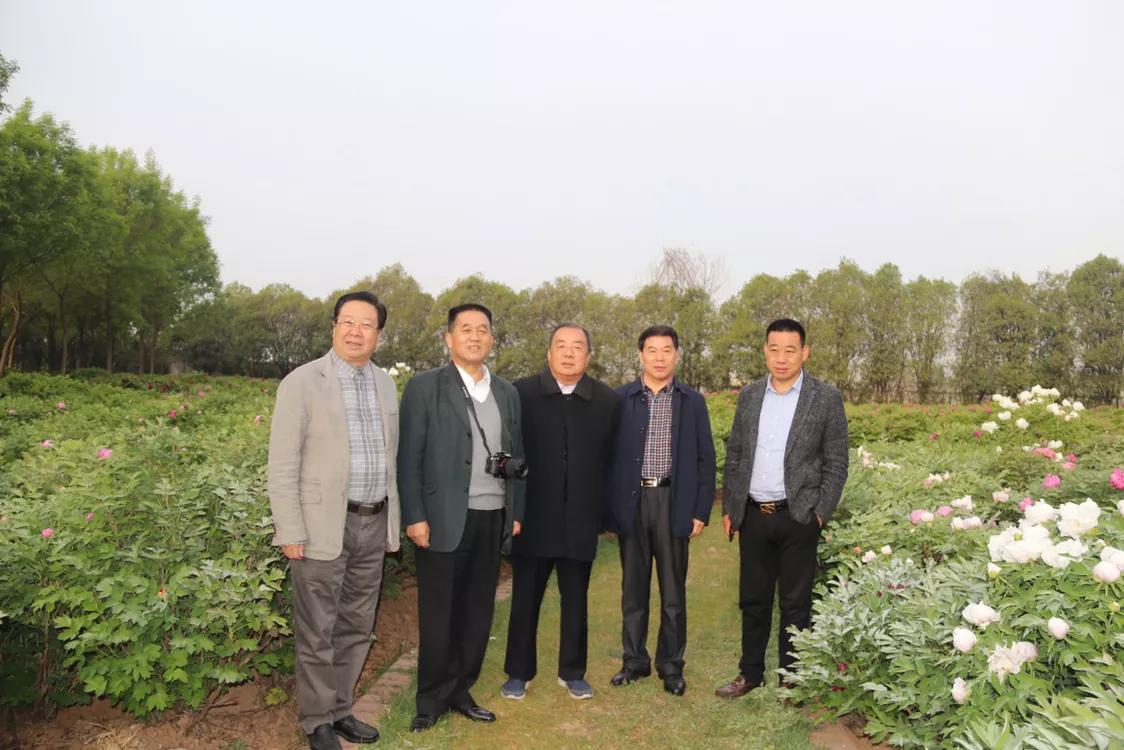 河南芒砀商会,芒砀山交流会2020